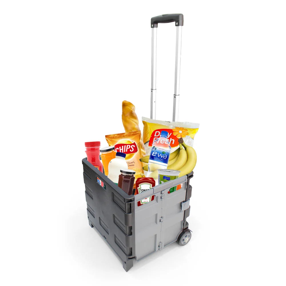 Grocery Trolley Cart