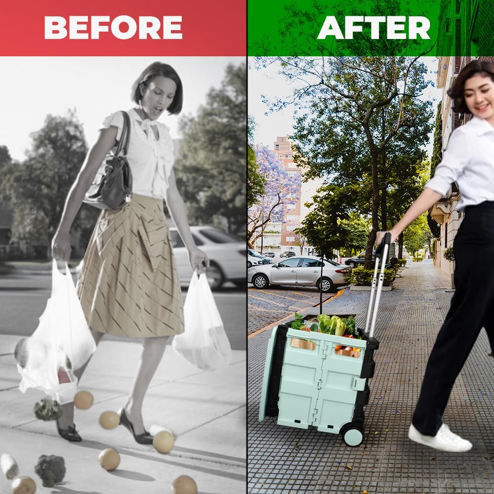Portable Grocery Cart