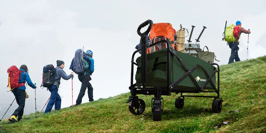 Carts and Trolley Buying Guide: Features, Accessories, Availability & Price Breakdown