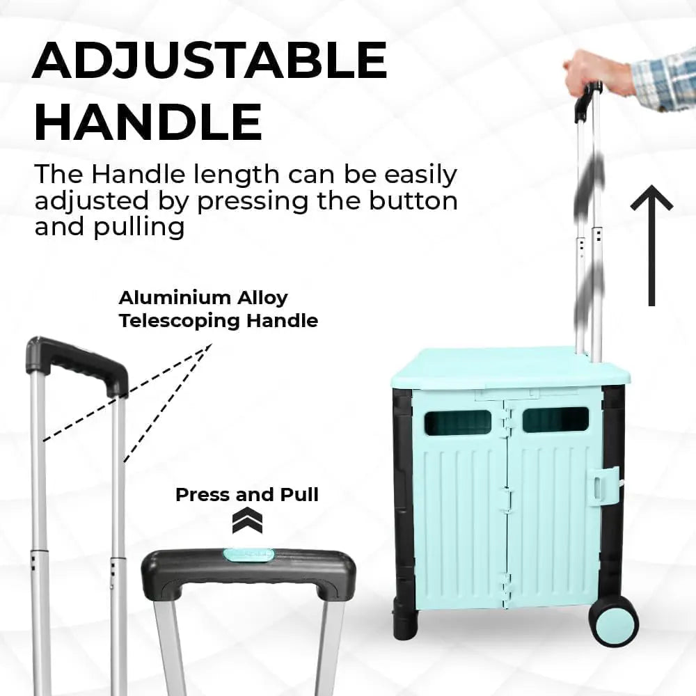 Grocery Cart With Adjustable Handle