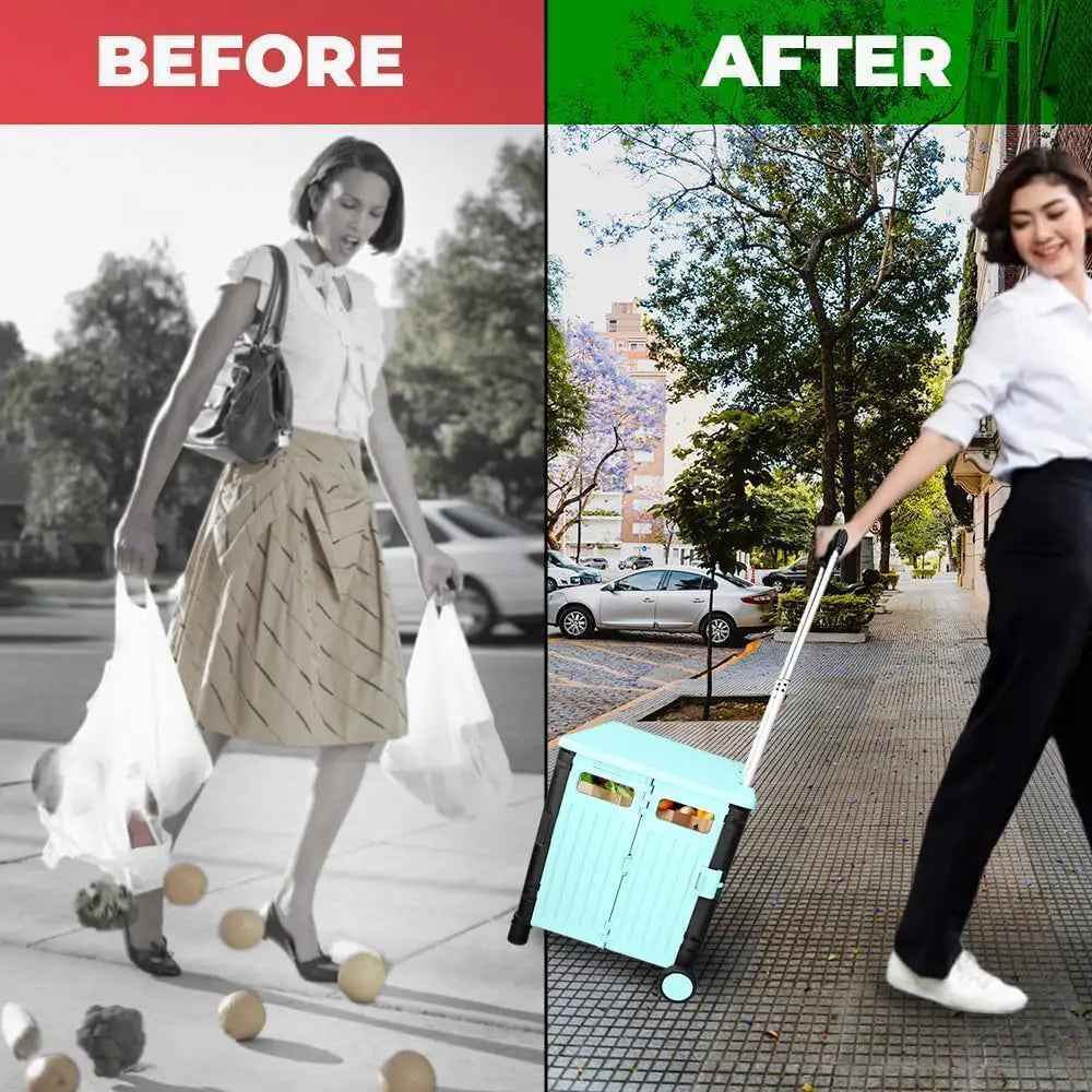 Easy To Carry Shopping Cart